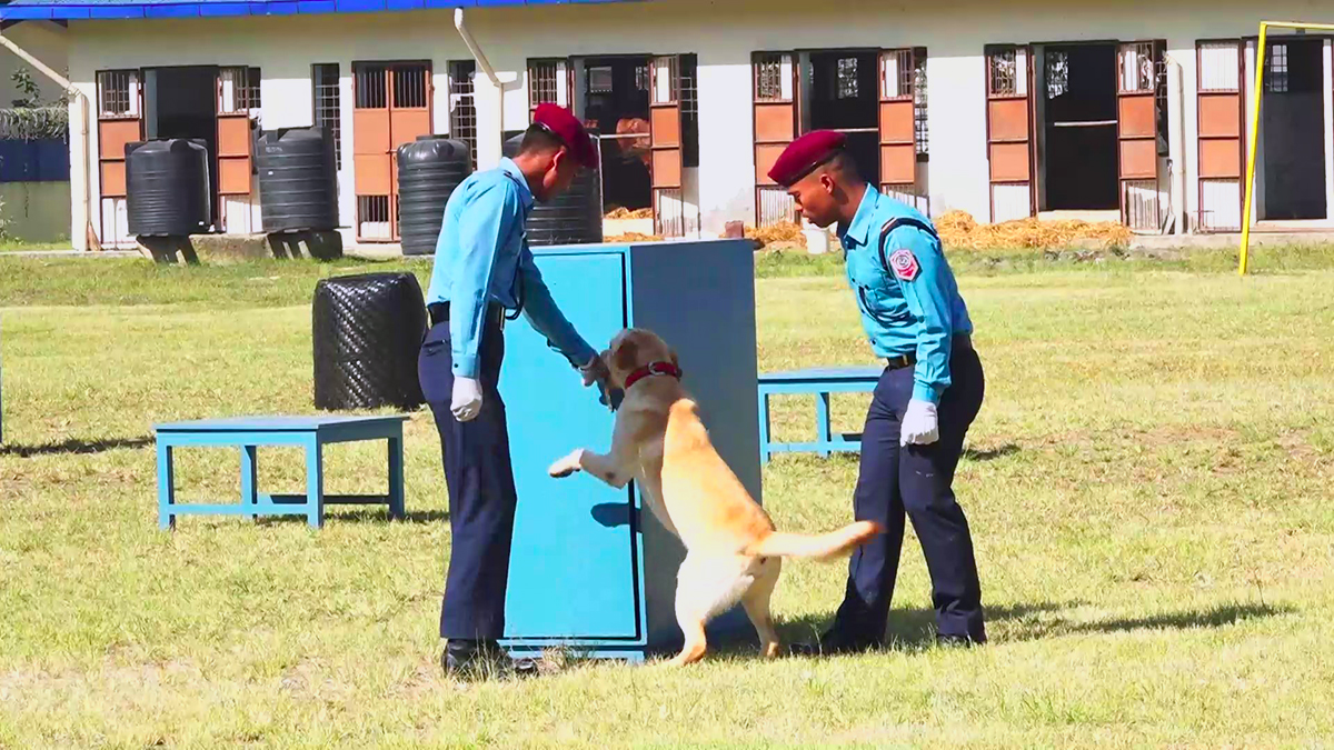 Nepal police_Moment ानखदचादच1666600684.jpg